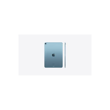 iPad Air 10.9 WiFi+Cellular 256Gb