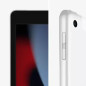 iPad 10.2 GSM 64Gb