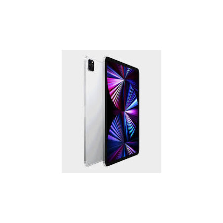 iPad Pro 11 GSM 256Gb