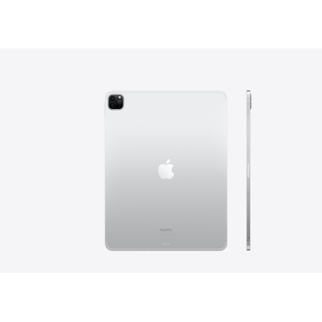 iPad Pro 12.9 GSM 256Gb