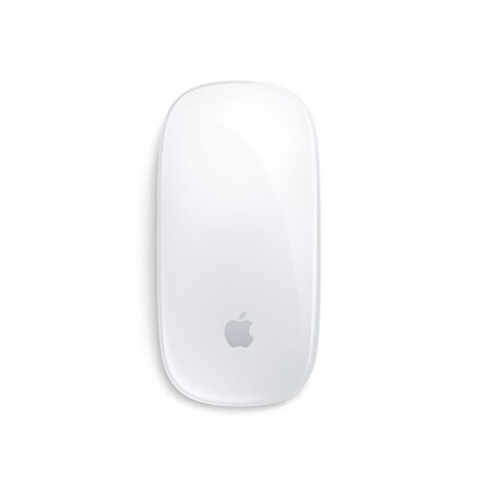 Magic Mouse - Multi-Touch Surface